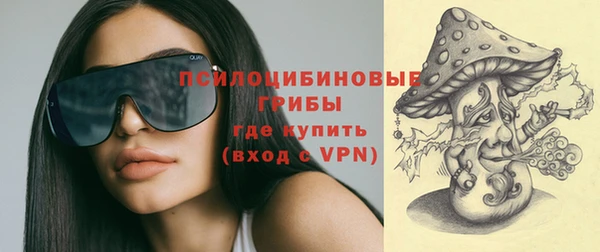 прущий лед Абаза