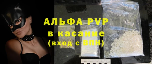 ПСИЛОЦИБИНОВЫЕ ГРИБЫ Пересвет