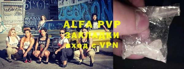 спиды Алзамай