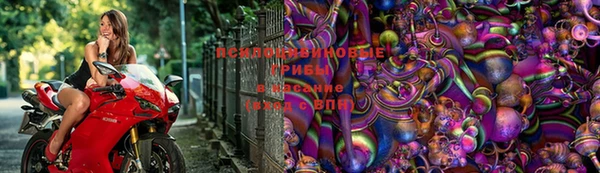каннабис Абдулино