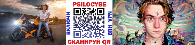 Галлюциногенные грибы Psilocybe  Мещовск 